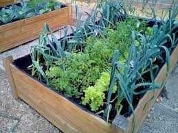 Ziemia Ogrodowa, Torf, Ziemia Torfowa TRANSPORT RADOM