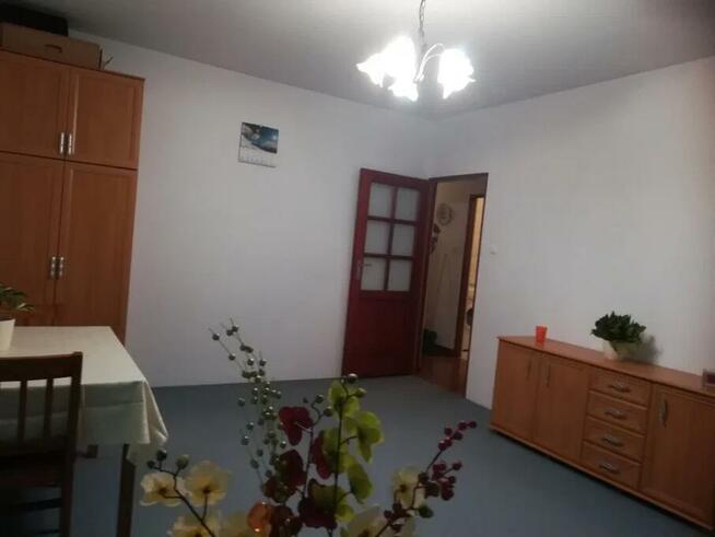 Do wynajęcia mieszkanie dwupokojowe 50 m2 w Warszawie na Och