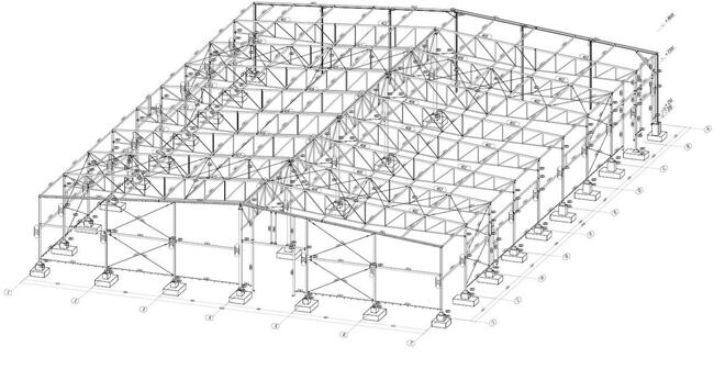 projekt warsztatowy konstrukcji stalowej BOCAD3D