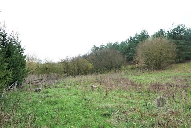 Działka na terenie otoczonym lasem - Nowe Kurowo