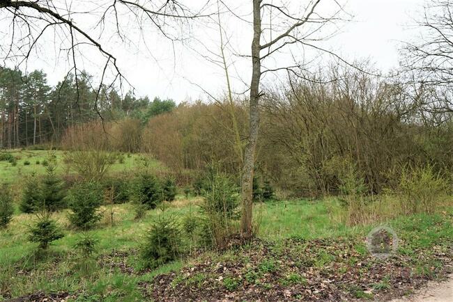 Działka na terenie otoczonym lasem - Nowe Kurowo