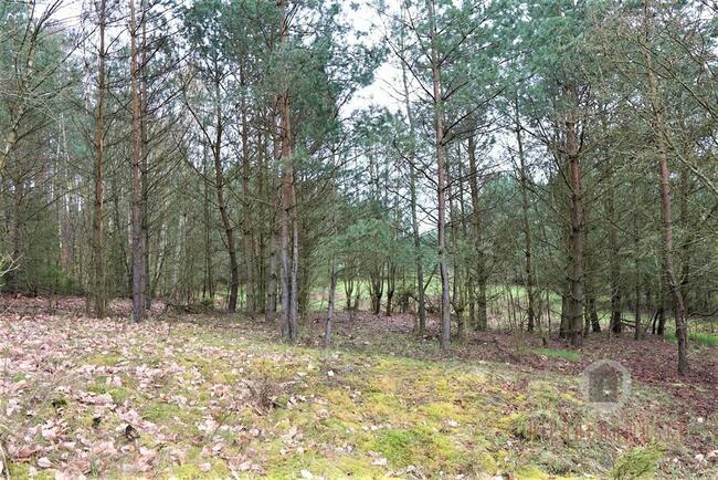 Działka na terenie otoczonym lasem - Nowe Kurowo