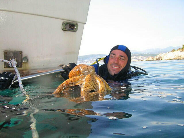 CHORWACJA Krk Wczasy 8 dni od 1790 zł HB pobyt+ Samolot !!