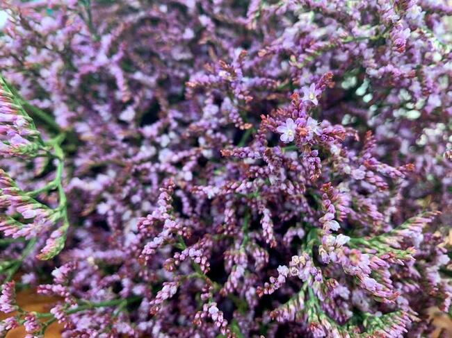 Kurs florystyczny 5 dniowy