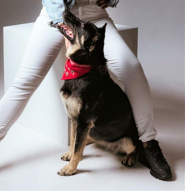 Kochana Żyłka, towarzyszka człowieka - pokochaj ją!