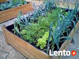 Ziemia Na Podwyższenie Terenu, Gruz Ceglany, Szlaka TRANSPORT