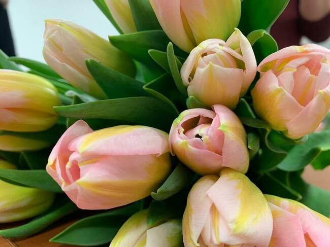 Kurs florystyczny 5 dniowy