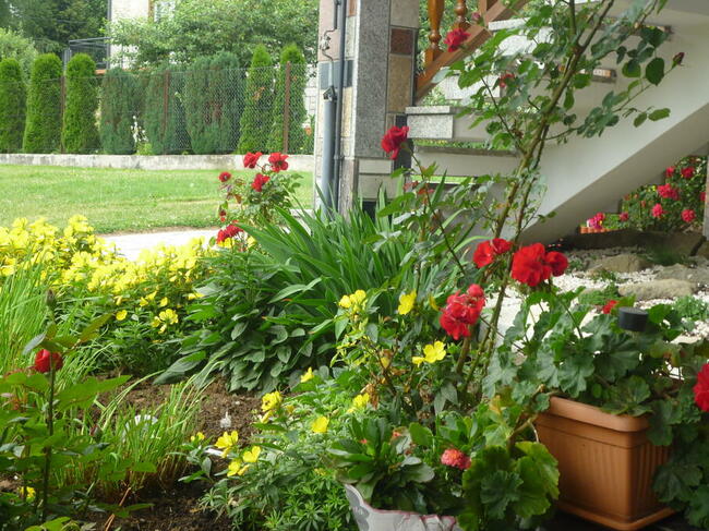 Góry Pieniny- wycieczki szkolne obóz Kolonie wolny termin