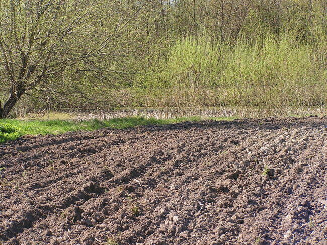 Działki inwestycyjne - Bezledy, warmińsko-mazurskie