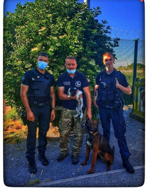 Hotel dla psòw i kotòw