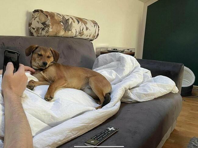 Nadia kochana ok.9 m-czna sunieczka Blaga o dom Iza