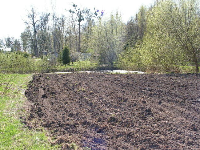 Działki inwestycyjne - Bezledy, warmińsko-mazurskie