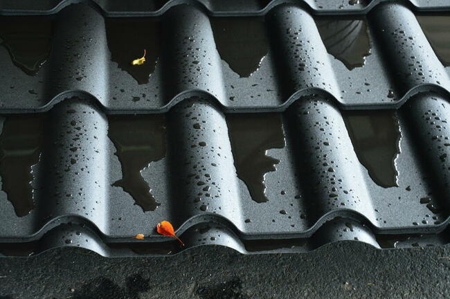 Blachodachówka rzymska 39,99 PLN/m2 Różnorodność kolorów