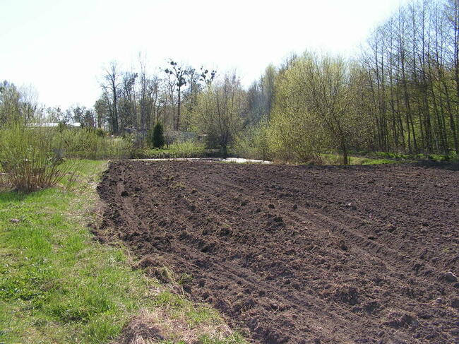 Działki inwestycyjne - Bezledy, warmińsko-mazurskie