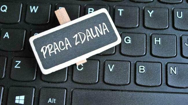 Szukam pracy zdalnej.