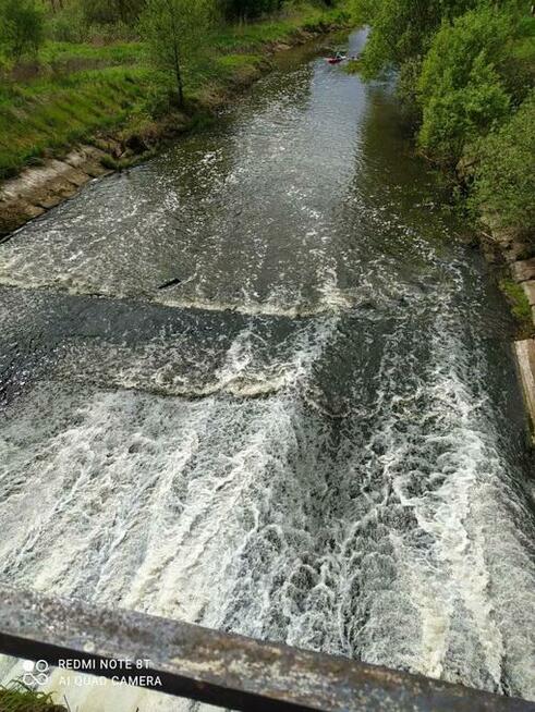 Kajaki Milicz Kajaki Milicz Milicz AnKa w Dolinie Baryczy.