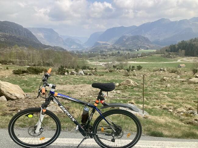 Żyjemy tak jak śnimy - samotnie !