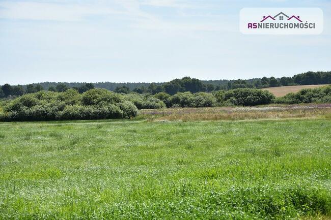 Działka w Zieleniewie, 7km od morza