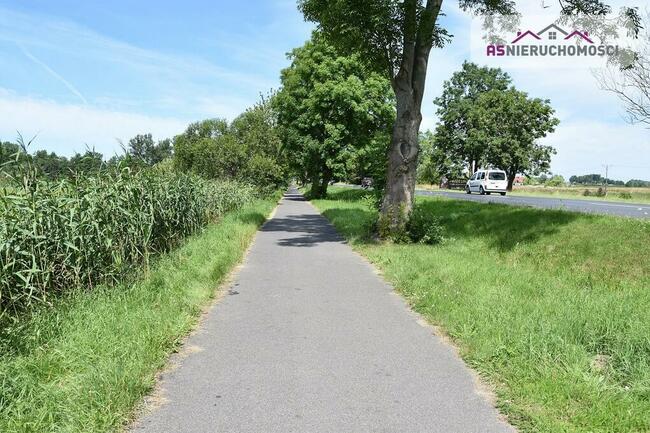 Działka w Zieleniewie, 7km od morza