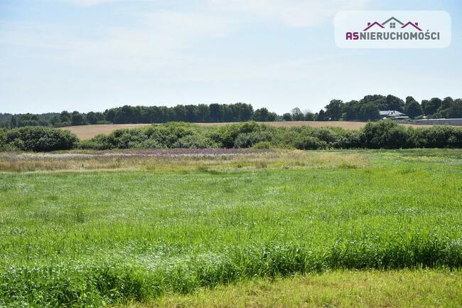 Działka w Zieleniewie, 7km od morza