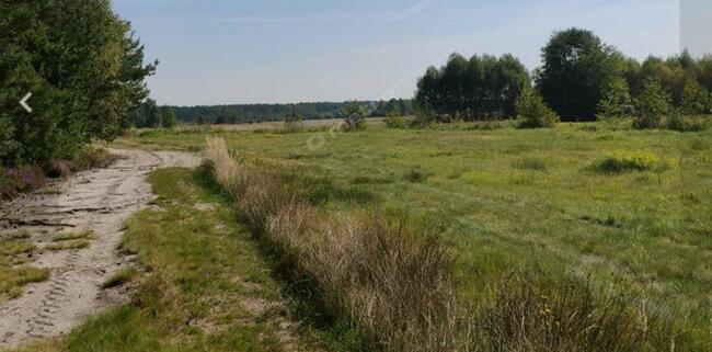 Sprzedam działkę rolną 3000 mkw Helenów gm. Poświętne