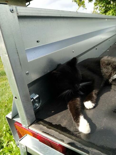 Przyczepa Nowa 750 kg knot przyczepka