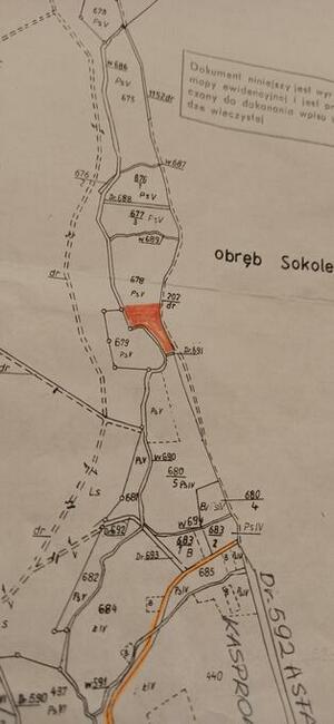 Sprzedam dużą działkę w Górach Sowich w lesie przy strumyku