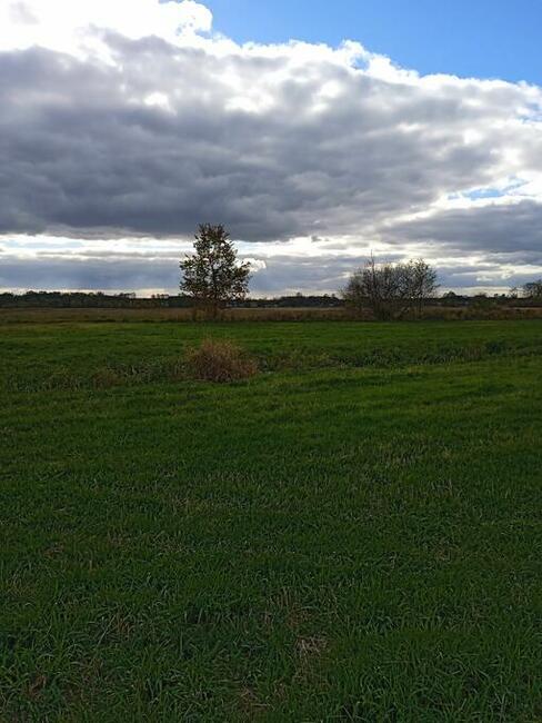 Sprzedam działkę rolną 3000 mkw Helenów gm. Poświętne