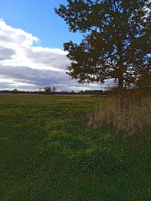 Sprzedam działkę rolną 3000 mkw Helenów gm. Poświętne