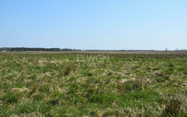 Na sprzedaż działka budowlana nad morzem, Smołdziński Las