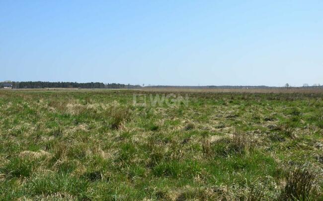 Na sprzedaż działka budowlana nad morzem, Smołdziński Las