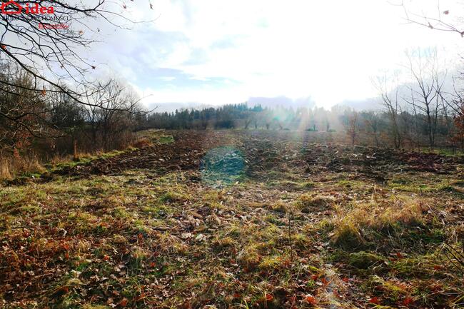 Działka Witryłów gm. Dydnia