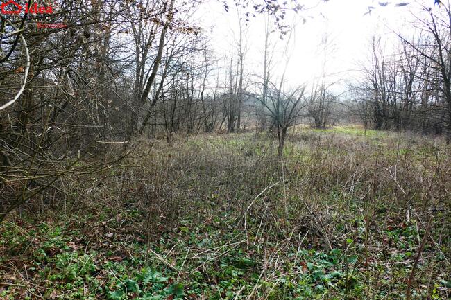 Działka Witryłów gm. Dydnia