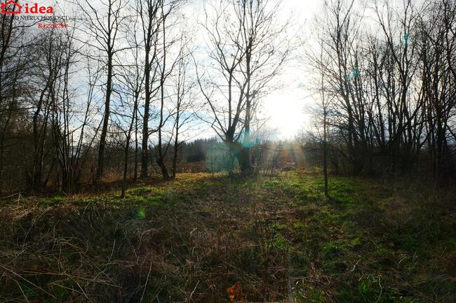 Działka Witryłów gm. Dydnia