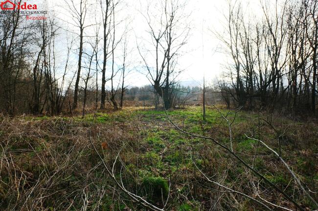 Działka Witryłów gm. Dydnia