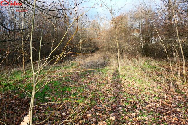 Działka Witryłów gm. Dydnia