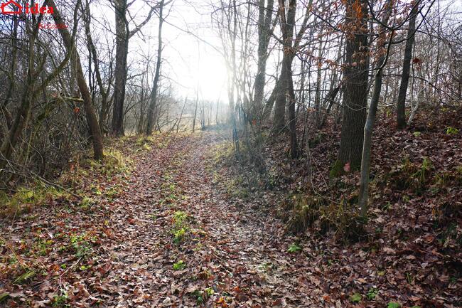 Działka Witryłów gm. Dydnia