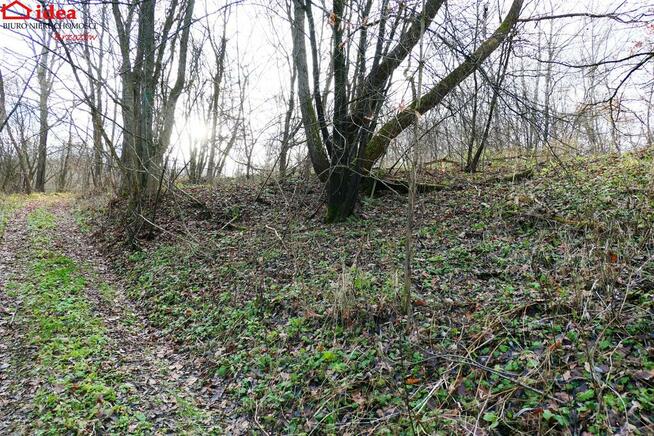 Działka Witryłów gm. Dydnia