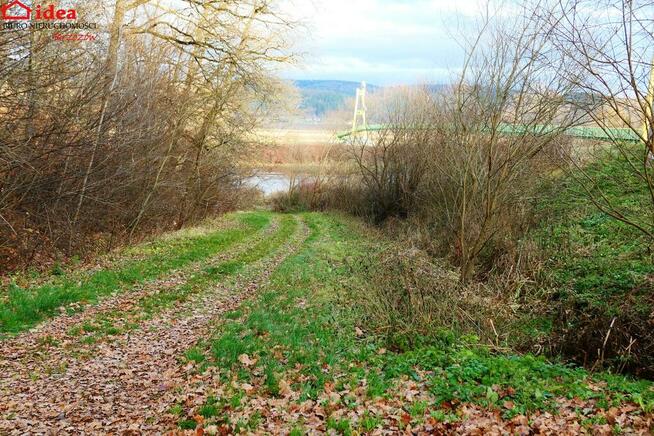 Działka Witryłów gm. Dydnia