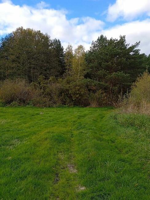 Sprzedam działkę rolną 3000 mkw Helenów gm. Poświętne