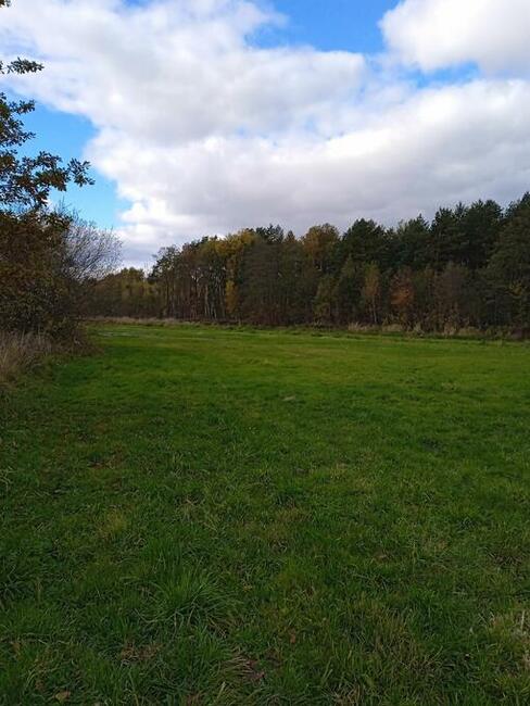 Sprzedam działkę rolną 3000 mkw Helenów gm. Poświętne