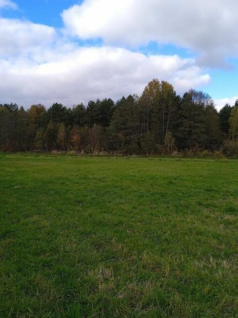 Sprzedam działkę rolną 3000 mkw Helenów gm. Poświętne