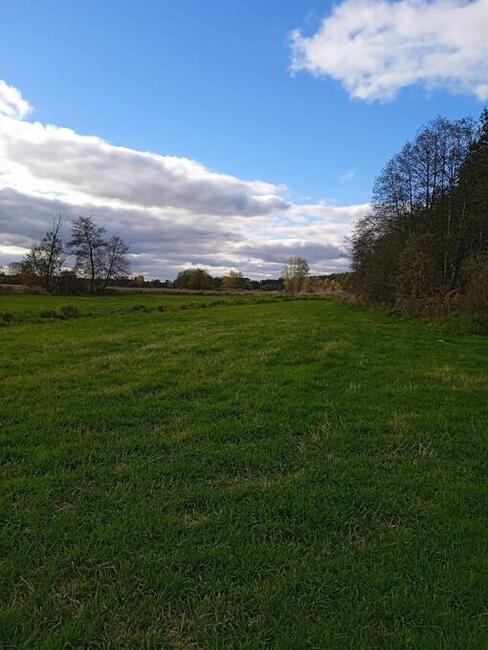 Sprzedam działkę rolną 3000 mkw Helenów gm. Poświętne