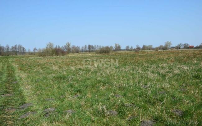 Na sprzedaż działka budowlana nad morzem, Smołdziński Las