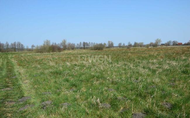 Na sprzedaż działka budowlana nad morzem, Smołdziński Las