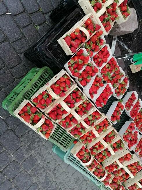 Poszukuję osoby do pracy w sklepie. Handel owocami i warzywa