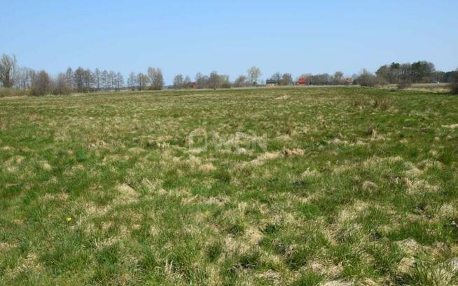 Na sprzedaż działka budowlana nad morzem, Smołdziński Las