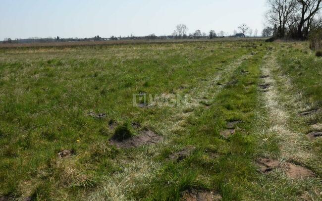 Na sprzedaż działka budowlana nad morzem, Smołdziński Las