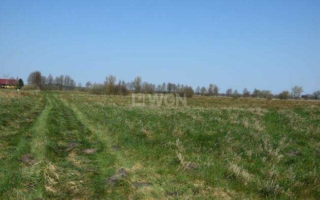 Na sprzedaż działka budowlana nad morzem, Smołdziński Las