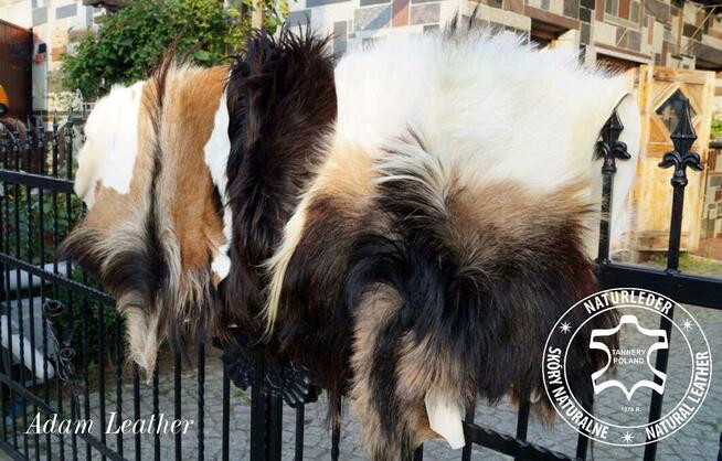 Skóry zwierząt afrykańskich, kozich, z dzika i inne.